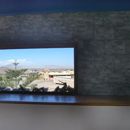 Apartment Studio Marea Alta *